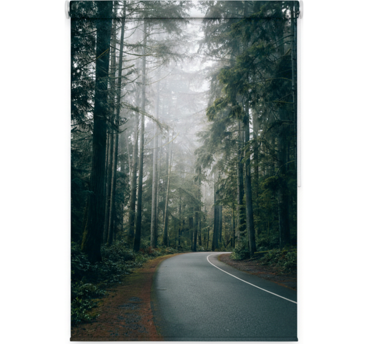 Foggy pine road tree roller blind - TenStickers