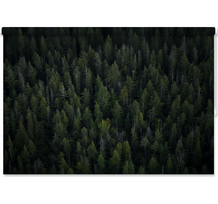 Tree roller blind in deep woodland texture - TenStickers