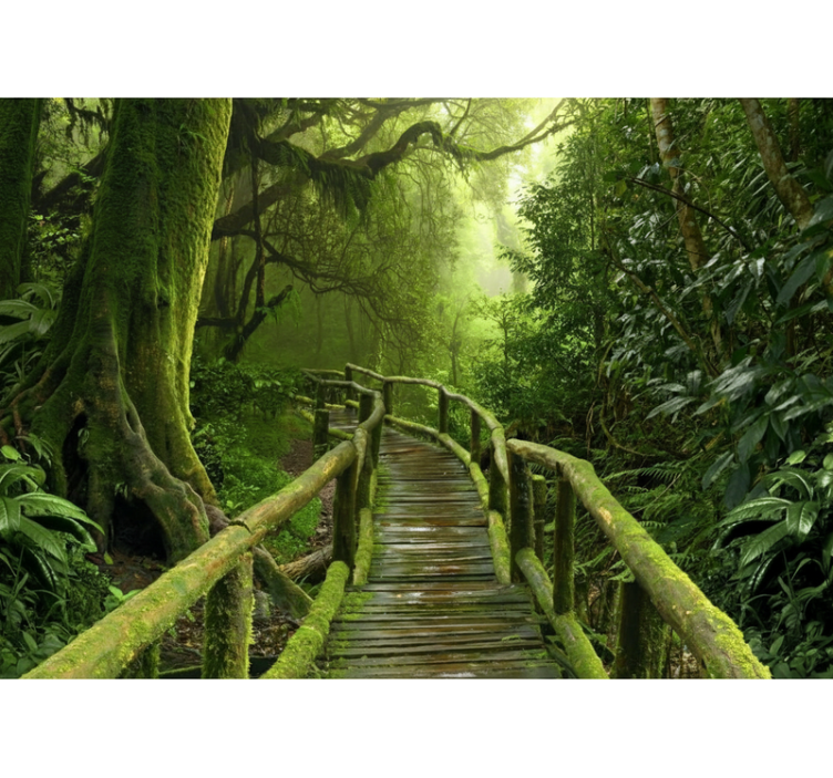 Tree roller blind lush mossy boardwalk - TenStickers