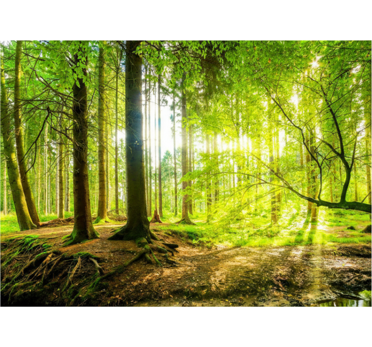 Tree roller blind lush mountain valley - TenStickers