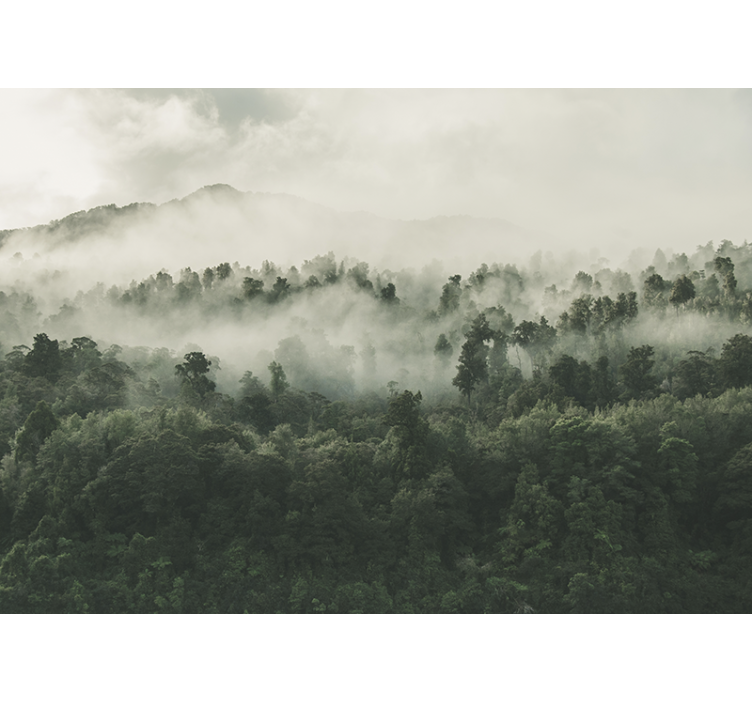 Kitchen roller blind forest in fog - TenStickers