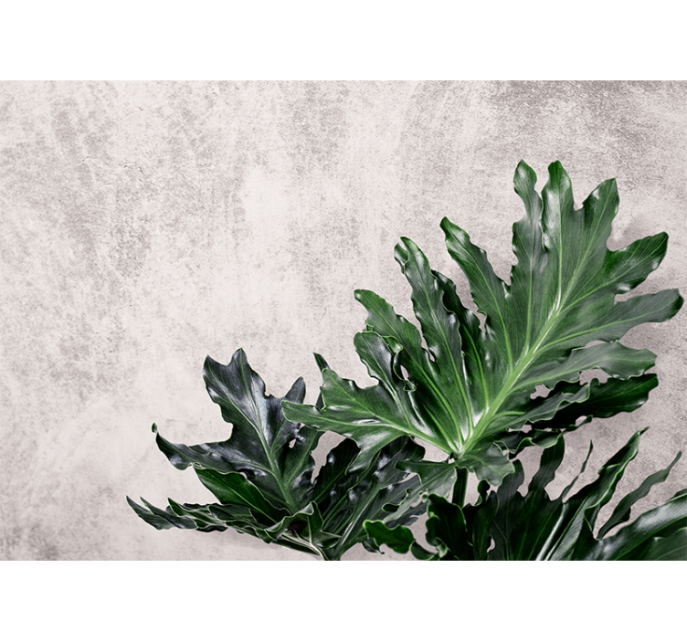 Kitchen roller blind with green leaves on concrete - TenStickers