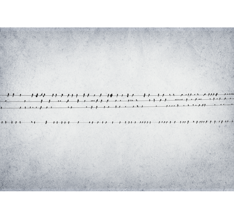 White roller blind birdsong on strings - TenStickers