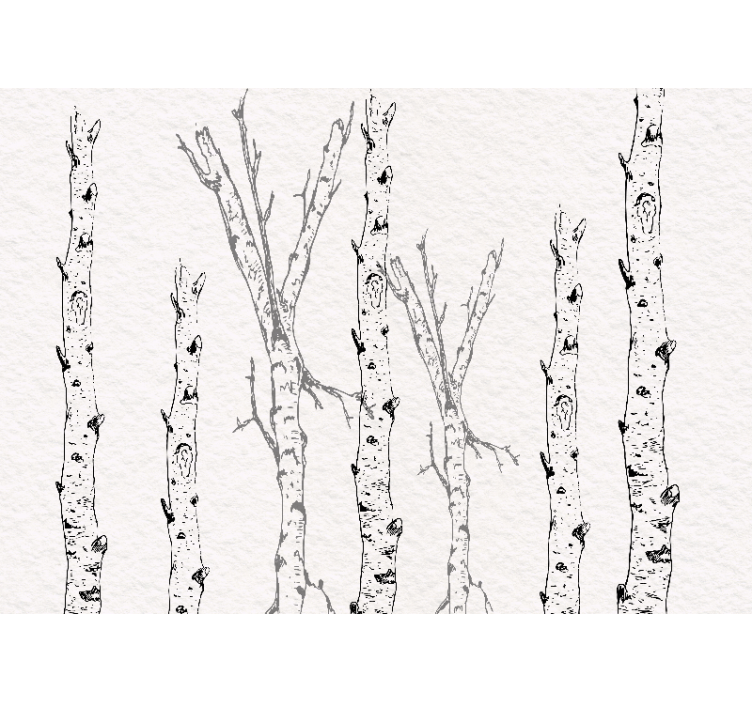 White roller blind birch stems design - TenStickers