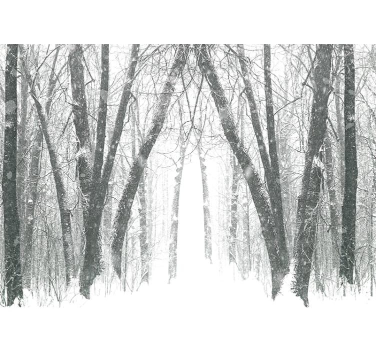White roller blind winter trees in the forest - TenStickers