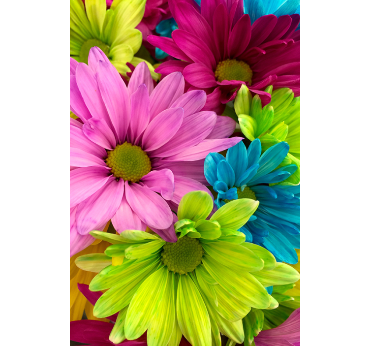 Colorful flowers living room roller blind - TenStickers
