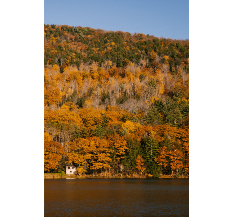 Living room roller blind lake and golden trees - TenStickers