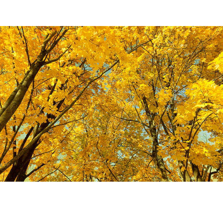 Yellow roller blind inspired by yellow autumn leaves - TenStickers
