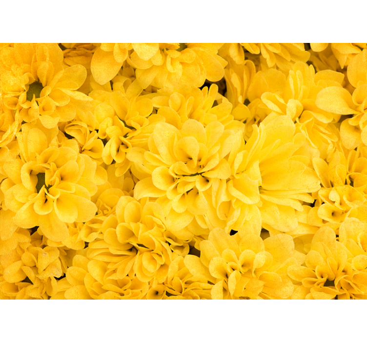 Yellow roller blind with floral petals design - TenStickers