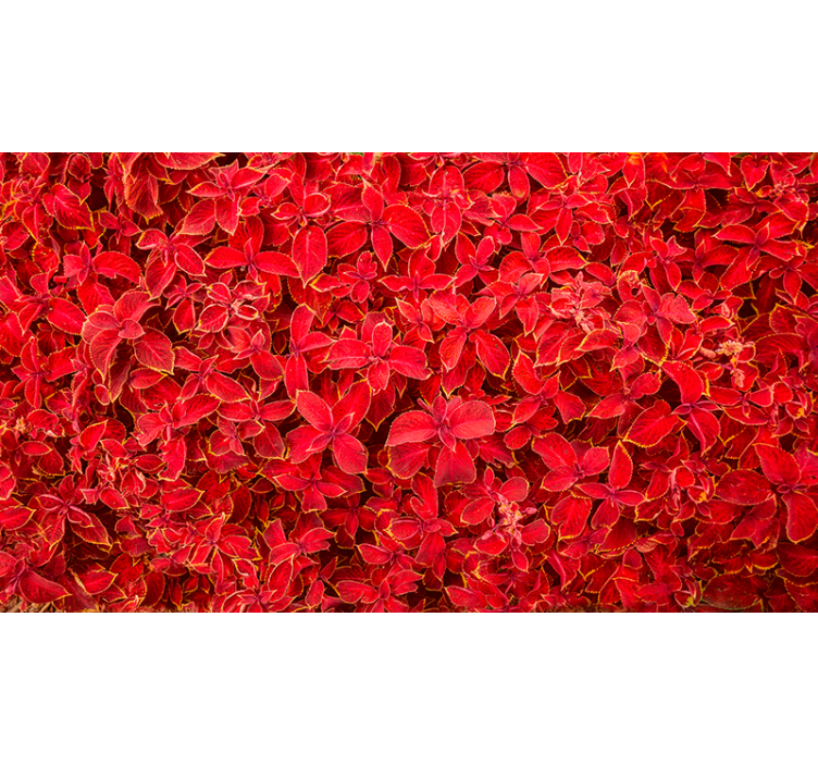 Red roller blind with floral petal pattern - TenStickers