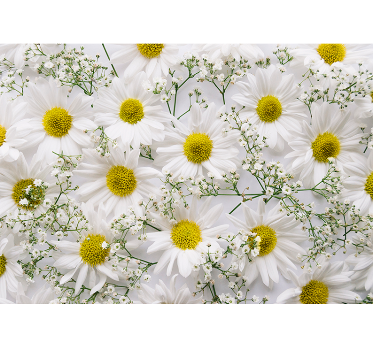 Living room roller blind daisy flower design - TenStickers
