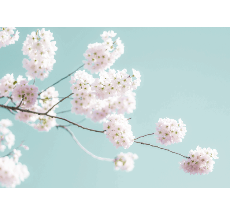 Living room roller blind with elegant white flower design - TenStickers