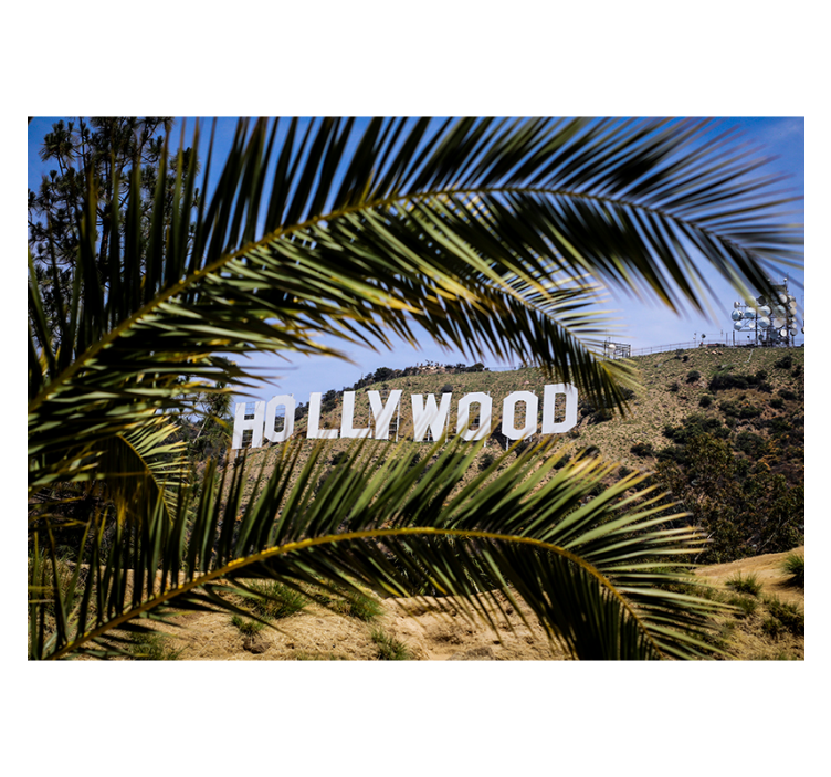 Living room roller blind hollywood sign and tree - TenStickers