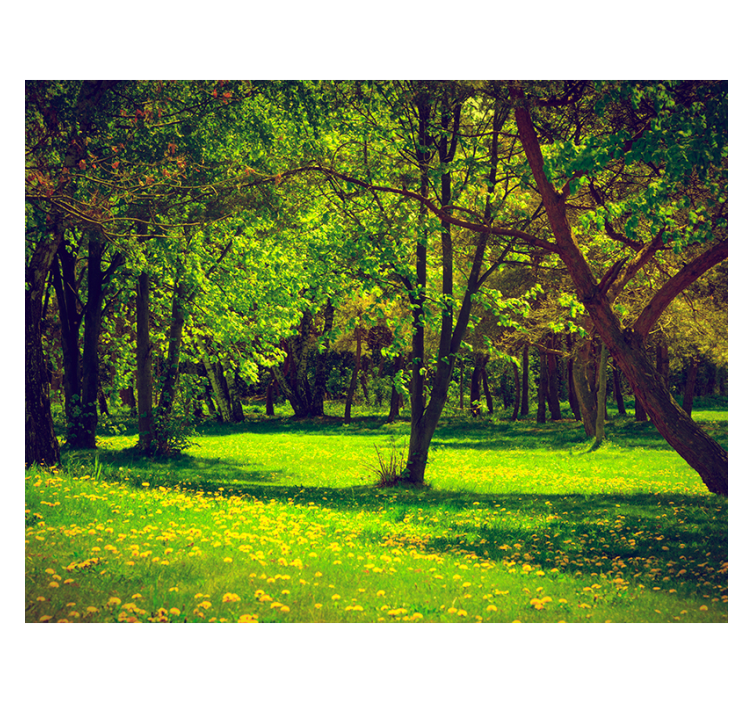 Living room roller blind serene forest view - TenStickers