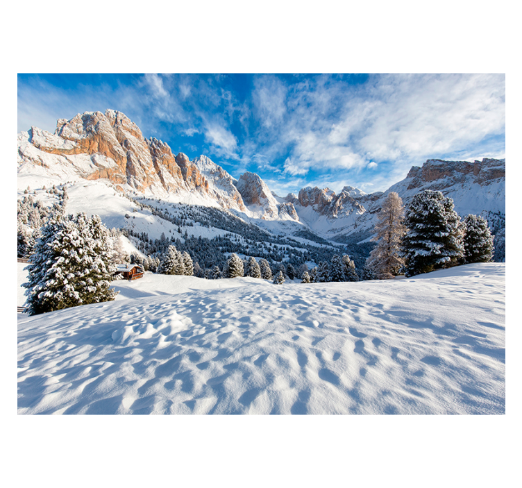 Living room roller blind snowy mountain mural - TenStickers