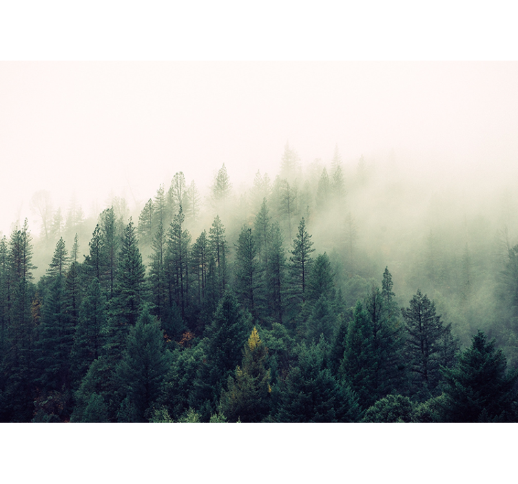 Living room roller blind foggy forest design - TenStickers