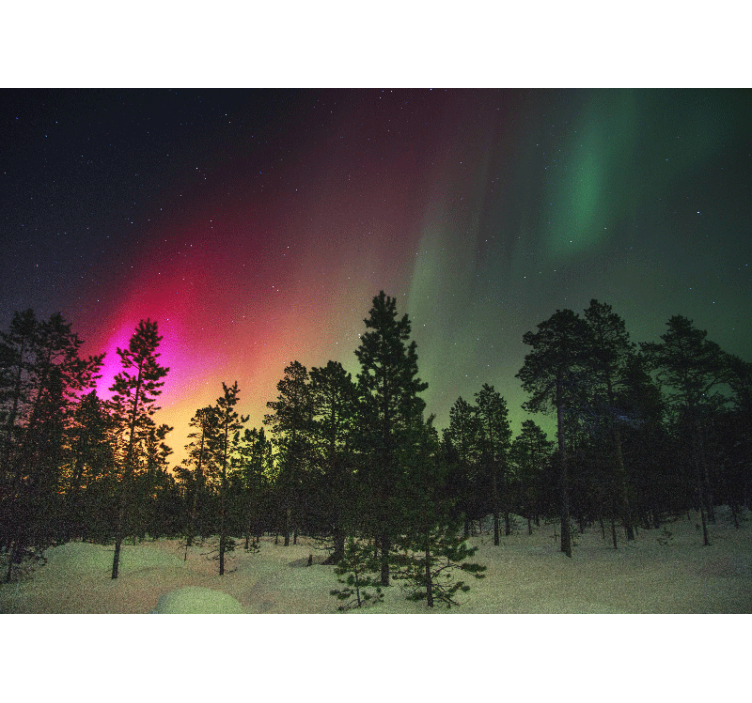 Living room roller blind northern lights over trees - TenStickers