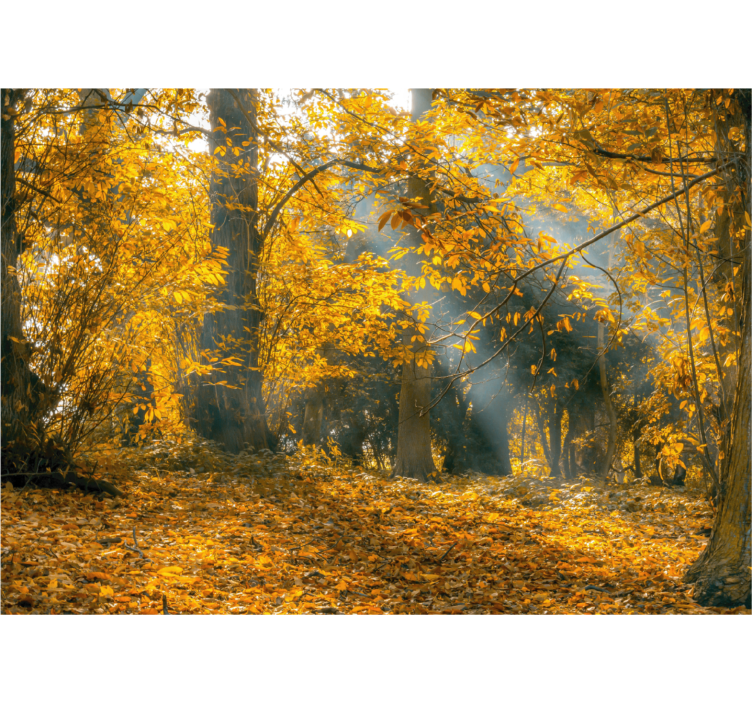 Living room roller blind golden autumn - TenStickers
