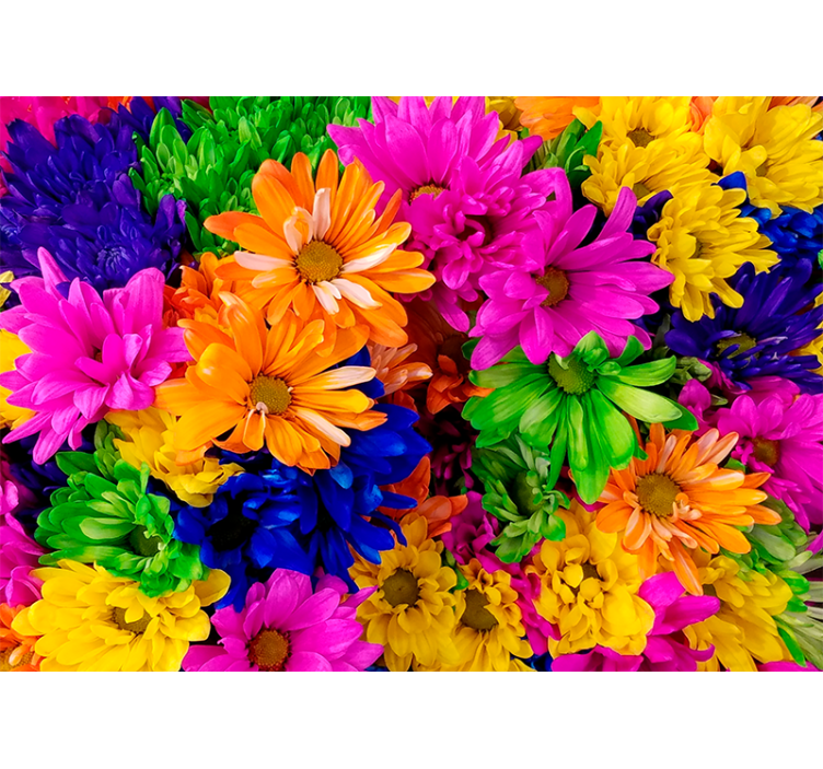 Living room roller blind in colorful chrysanthemum - TenStickers