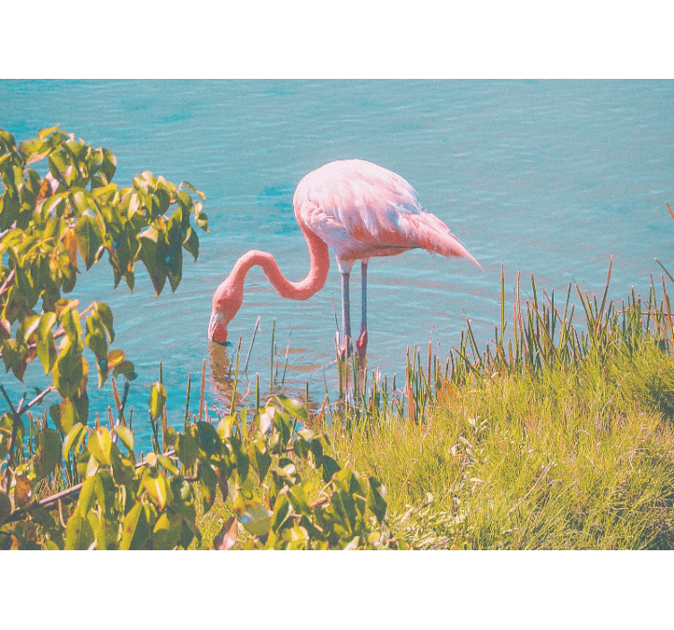 Living room roller blind beautiful flamingo by water - TenStickers