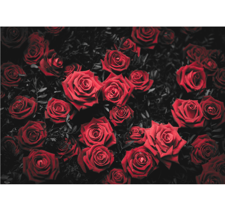 Living room roller blind in black and white roses - TenStickers