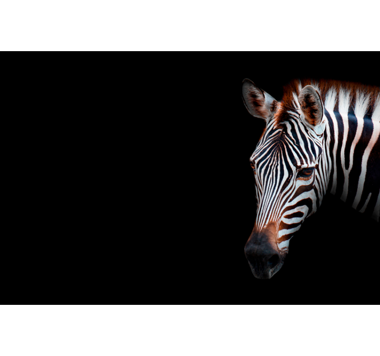 Living room roller blind zebra pattern - TenStickers