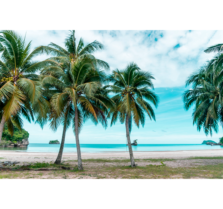 Living room roller blind sea beach palm sand - TenStickers