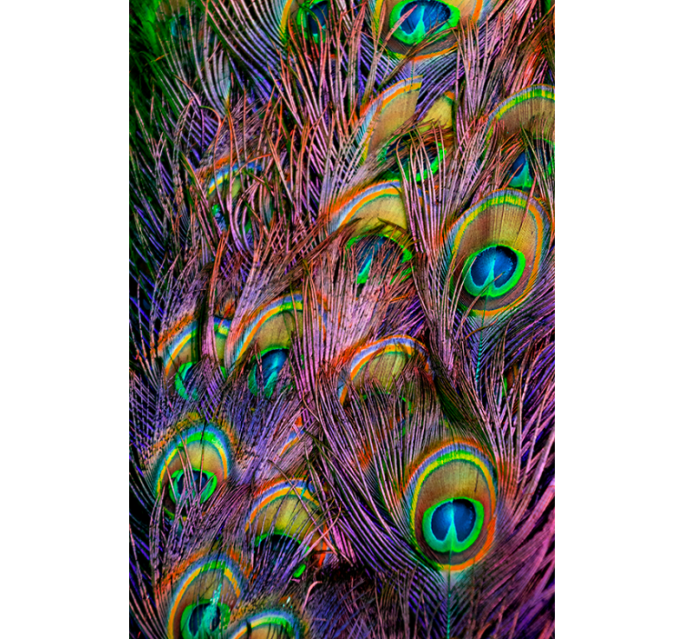 Living room roller blind peacock feather design - TenStickers