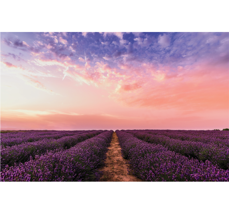 Living room roller blind lavender flowers in france - TenStickers