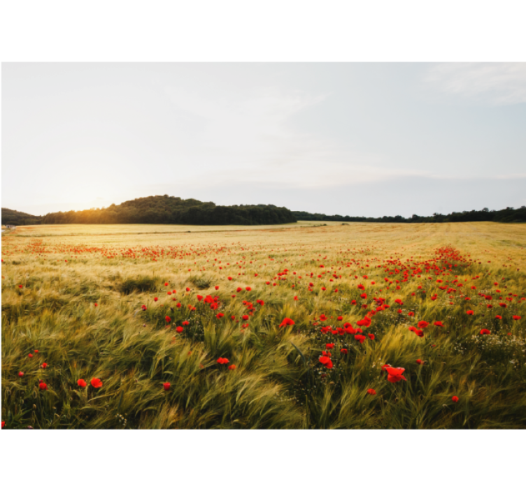 Living room roller blind moonlit field at dusk - TenStickers