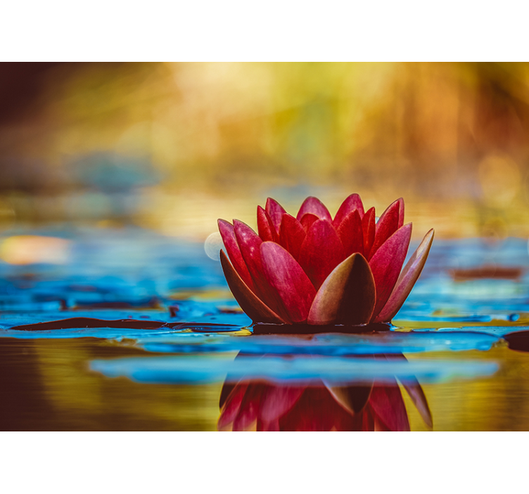 Living room roller blind zen reflected lotus flower - TenStickers