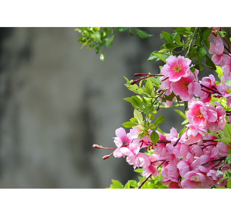 Living room roller blind with 3d pink flowers - TenStickers