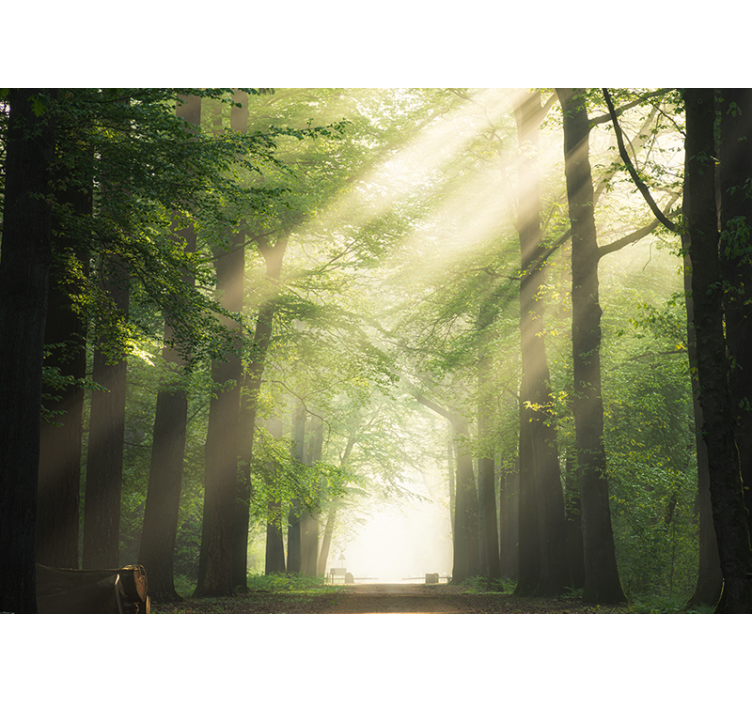 Living room roller blind tree with sunburst - TenStickers