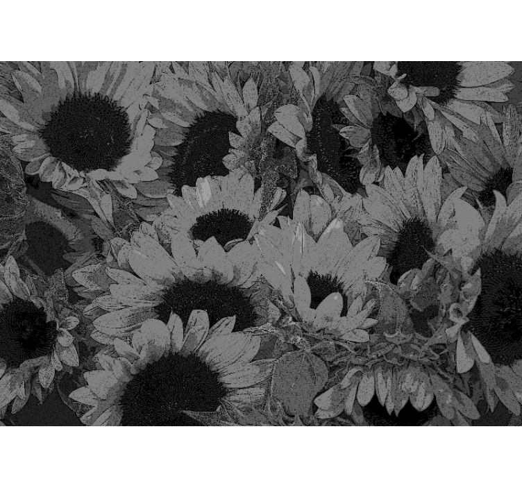 Living room roller blind black and white sunflower - TenStickers