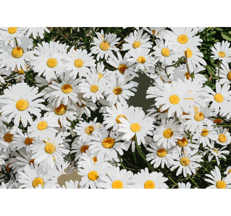 Living room roller blind daisy painted meadow - TenStickers