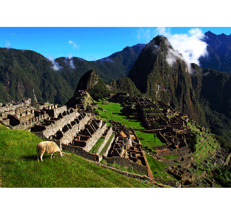 Living room roller blind indigenous park design - TenStickers