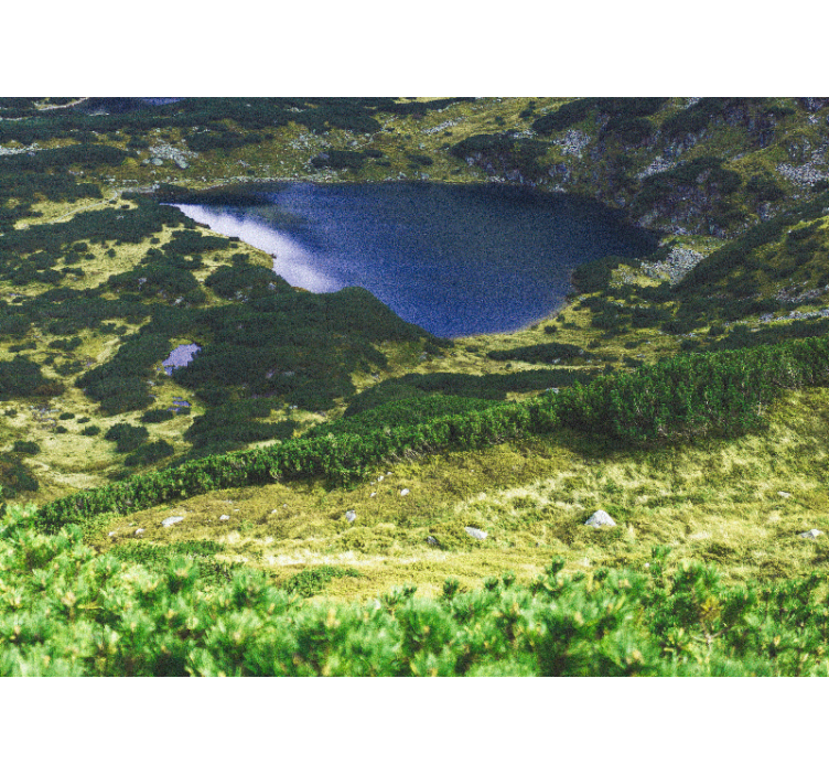 Living room roller blind green polish tatras - TenStickers