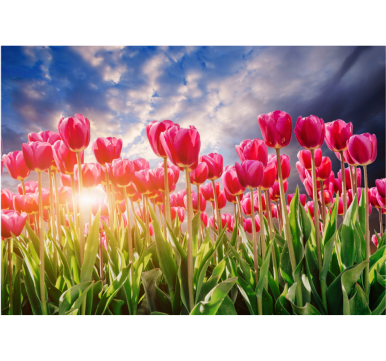 Living room roller blind floral sunset design - TenStickers