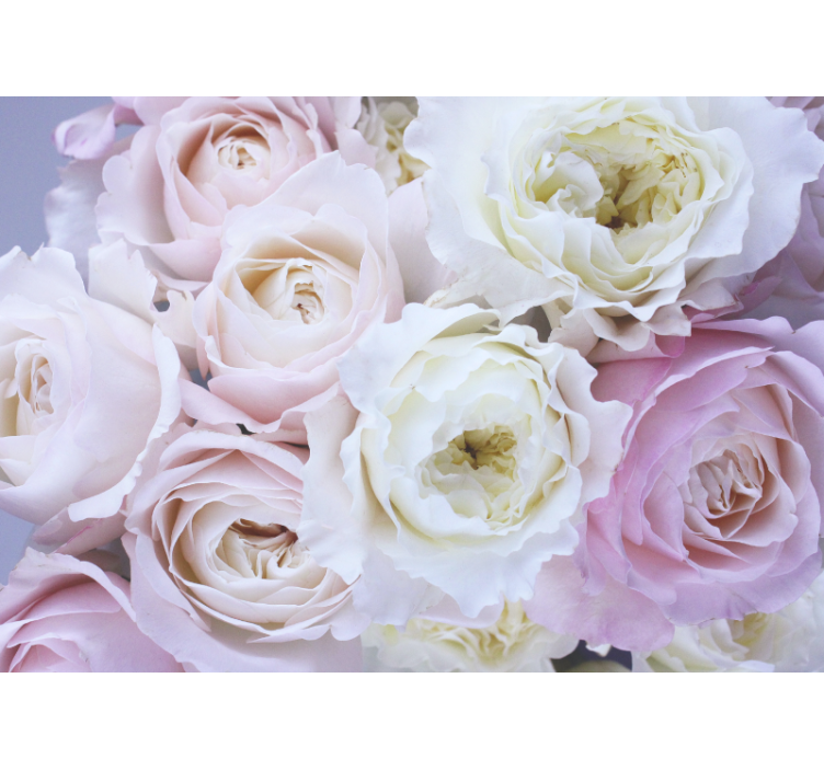 Living room roller blind different roses close up - TenStickers