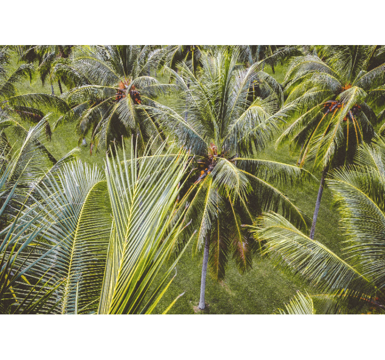Living room roller blind green palm tree landscape - TenStickers