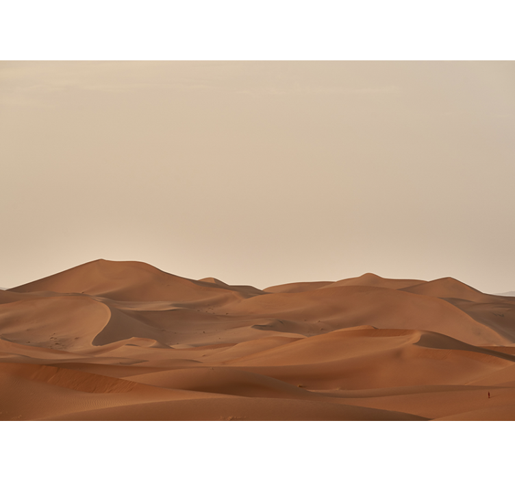 Living room roller blind sand dunes in the desert - TenStickers
