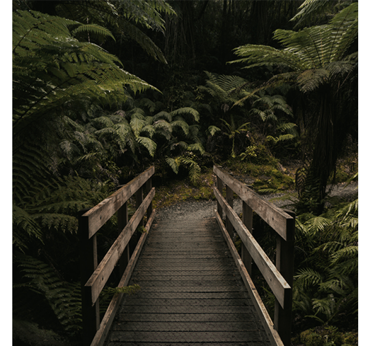 Living room roller blind nature bridge in the forest - TenStickers