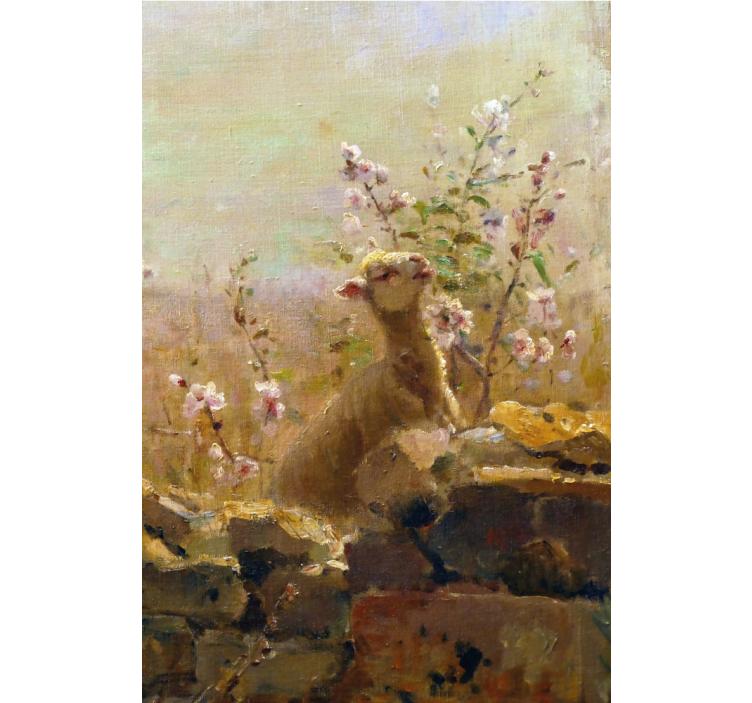 Living room roller blind funny sheep painting - TenStickers