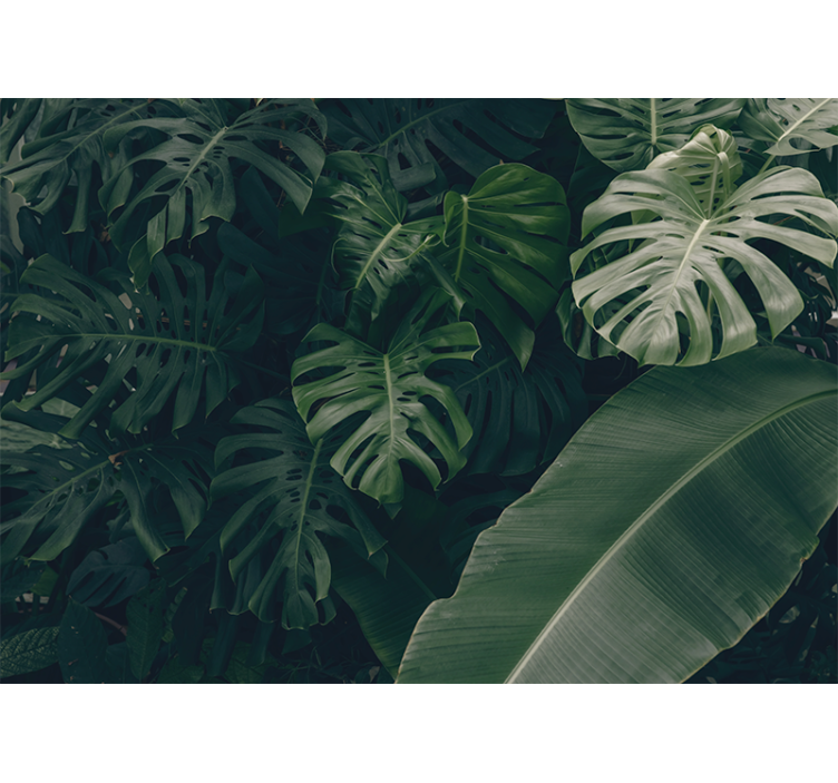 Living room roller blind in beautiful green jungle - TenStickers