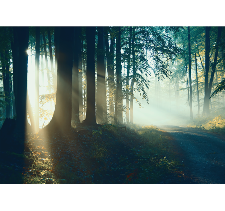 Living room roller blind winter forest view - TenStickers