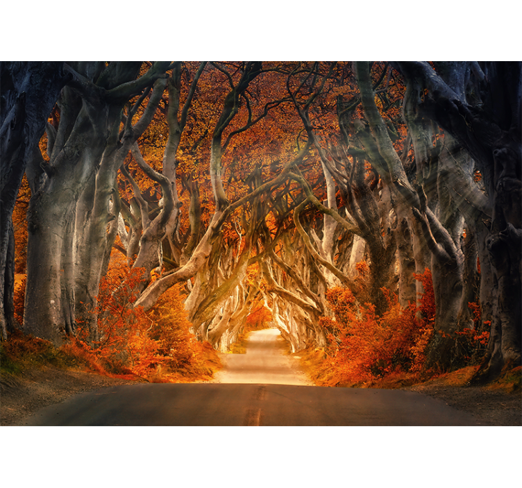 Living room roller blind scenic forest road view - TenStickers