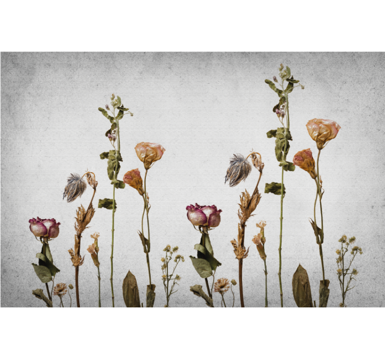 Living room roller blind with scandinavian dried plants - TenStickers