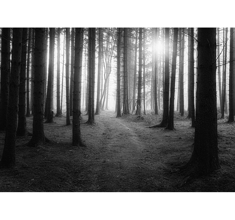 Gray roller blind enchanted forest design - TenStickers