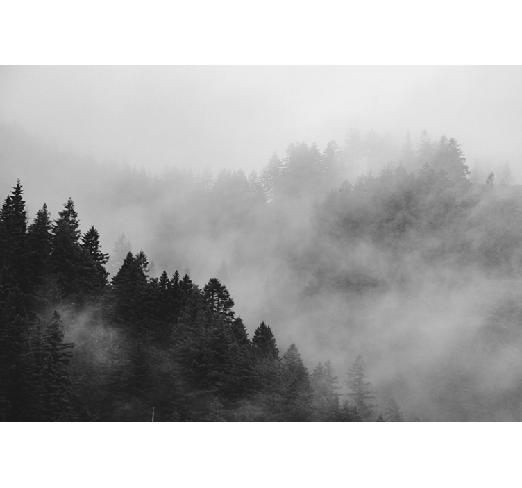 Gray roller blind black and white misty forest - TenStickers