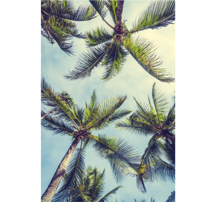 Lush Palm Canopy tree roller blind - TenStickers